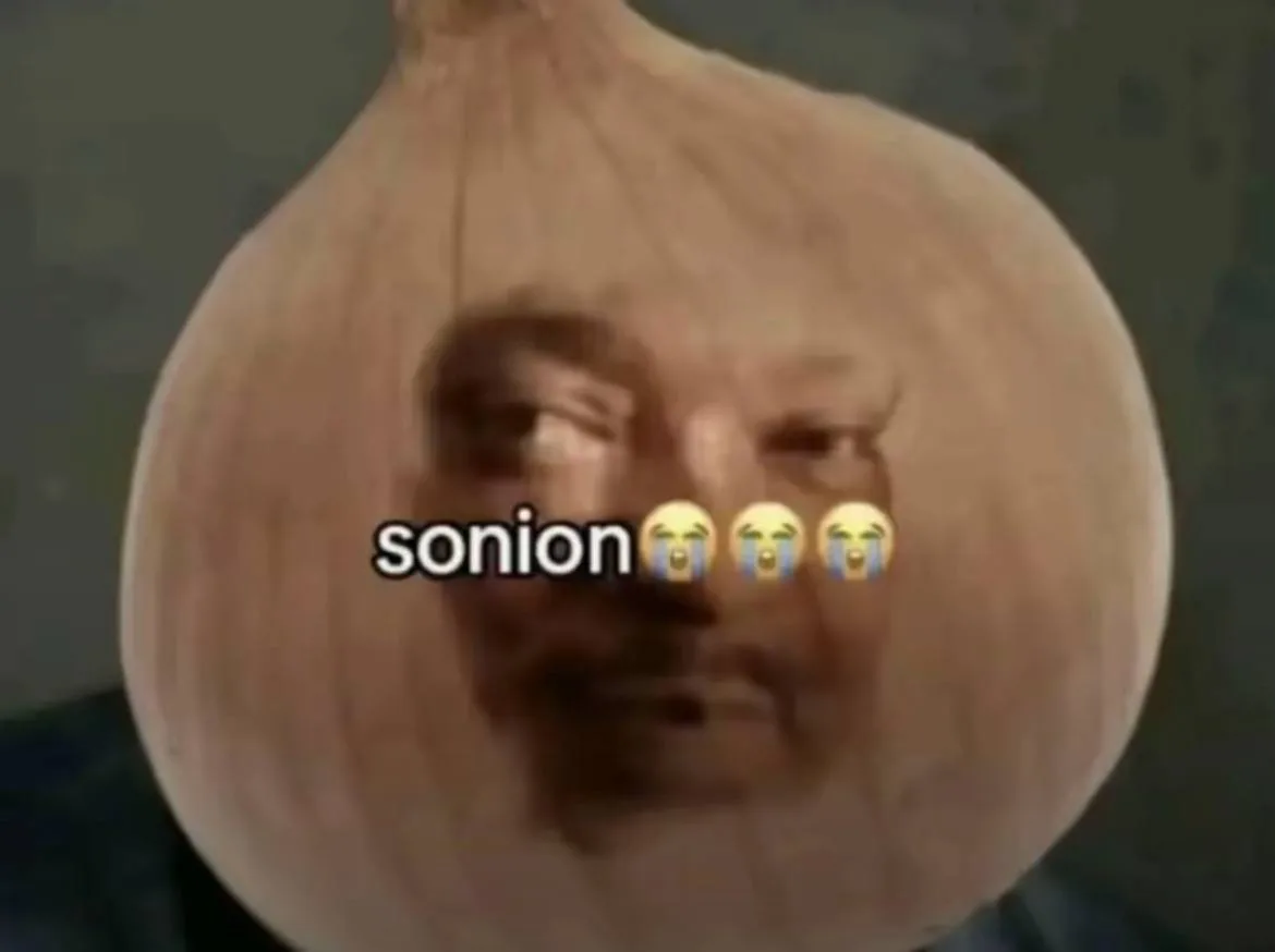 SONion
